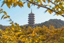 万叶塔景点图片