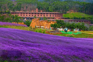 国庆小长假，昆明周边还有哪些宝藏景点，不去扎堆大理丽江，更多精彩玩乐等着你
