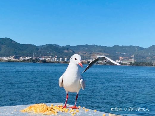 滇池大坝
