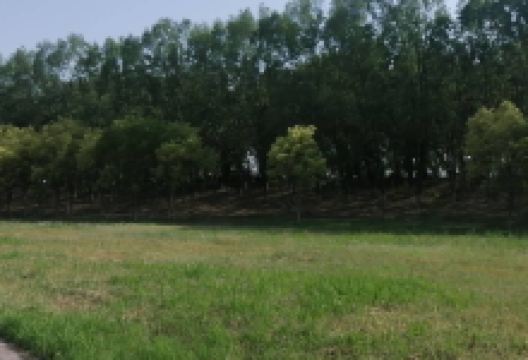 宝坻朝霞公园景点图片