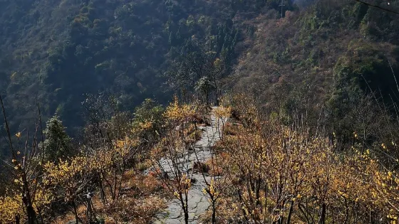 湖北滄浪山國家森林公園