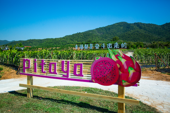 Gallery 2