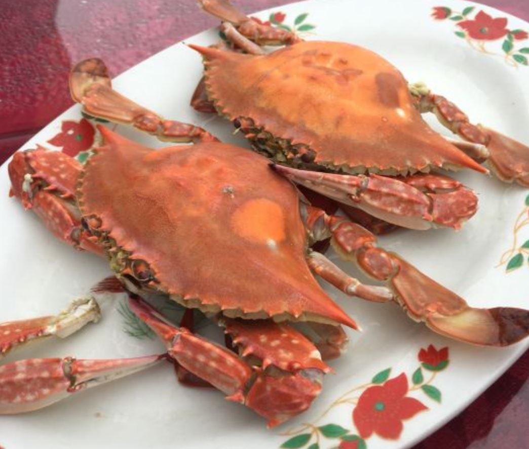 红房子渔家小院餐厅图片