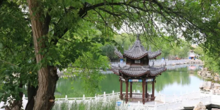 阿爾山國家森林公園-涼亭