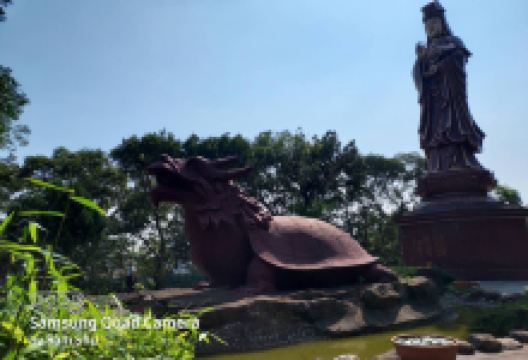 杨梅区贵山公园景点图片