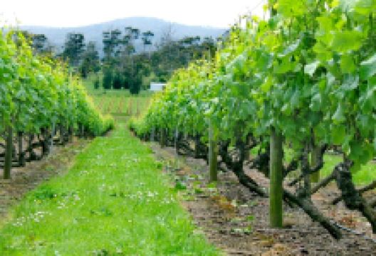 塔玛谷景点图片