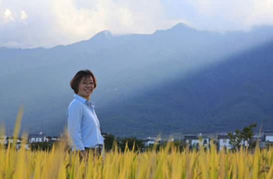 在大理中秋遇到国庆，稻花香里说丰年，田间地头好风光！