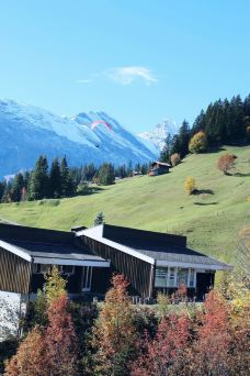 米伦-米伦-fooler0809