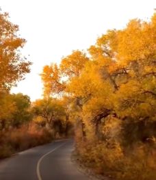 塔里木沙漠公路-且末-gz当地向导伊妹儿