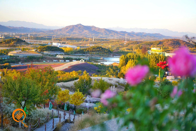 北京自駕1.5小時，密雲3處楓林盡染世外桃源，令人如痴如醉。