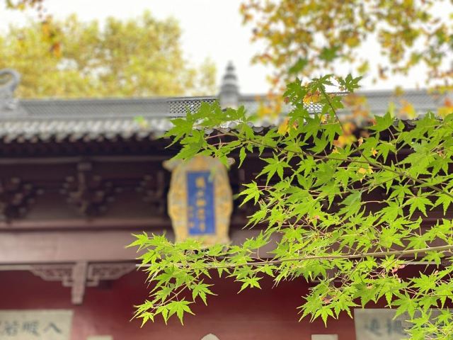 栖霞禅寺牌坊旅行图片 4