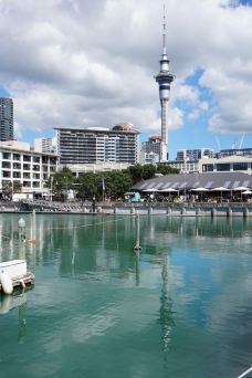 天空塔-奥克兰