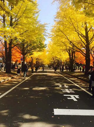 一念缘起-日本关西游