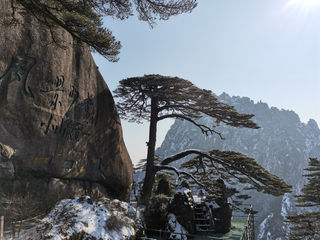 从普陀山到黄山的2020年末之行