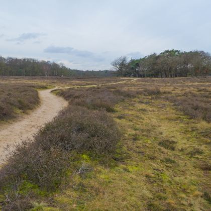 宁夏银川+阿拉善左旗+乌海5日4晚私家团