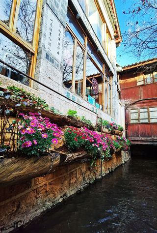 云南 | 丽江古城 束河古镇 白沙古镇 玉龙雪山四日游