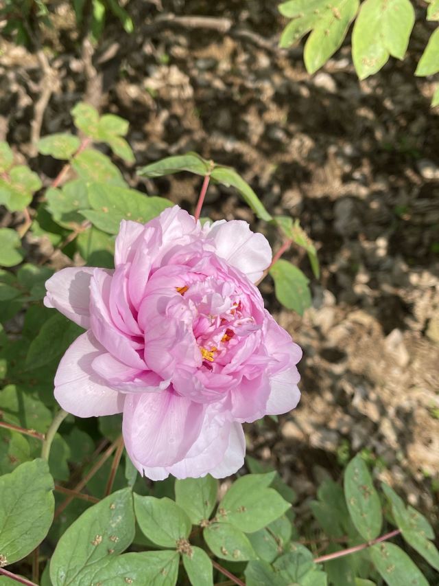 漕溪公园旅行图片 6