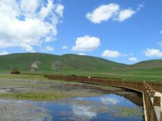 甘肃尕海则岔自然保护区-尕海湖-碌曲-山在穷游