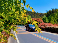 广德游记图片] 深居竹林里丨不小心发现了横跨苏浙皖的小秘密