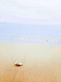 海阳游记图片] 海阳旅游度假区---一座安静祥和的海滨小城