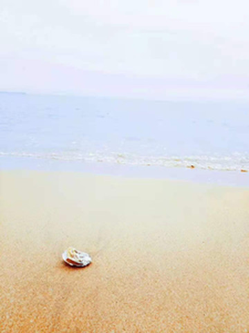 海阳游记图文-海阳旅游度假区---一座安静祥和的海滨小城