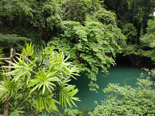 茂兰，大美原生态自然保护区（6）——贵州8日（12）