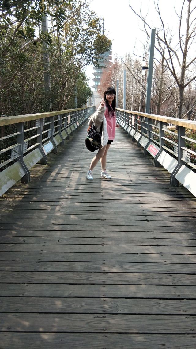 滨江大道旅行图片 2