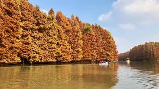上海度假好去处！探索新开业希尔顿酒店，邂逅自然与慢生活的独特雅趣。