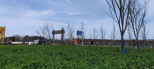 合庆郊野公园旅行图片 1
