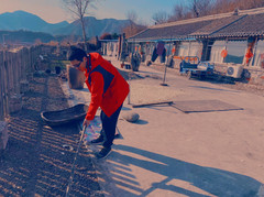 太师屯镇游记图片] 暮宿太师屯
