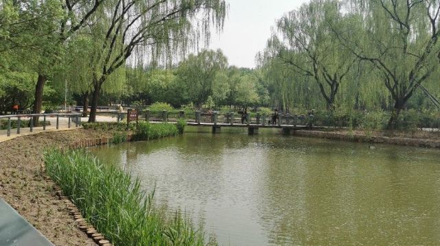 将府公园旅行图片 2
