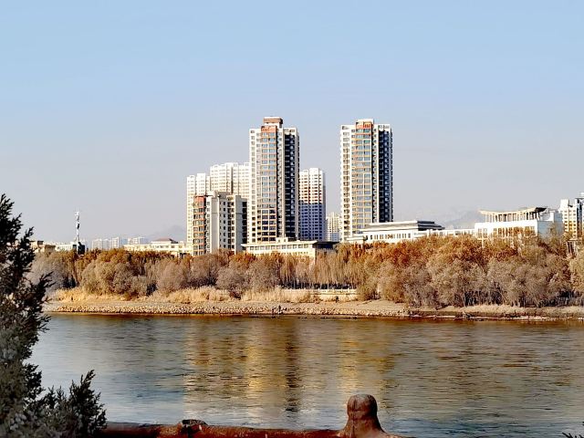 百合公园旅行图片 2
