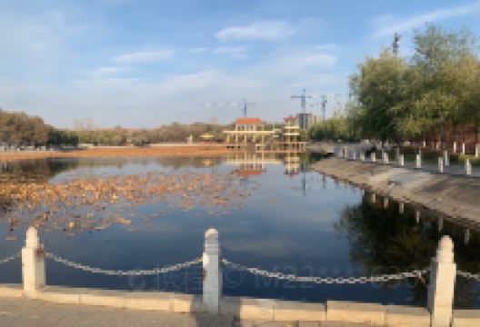 人民公园(中央路)景点图片