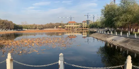 人民公園（中央路）