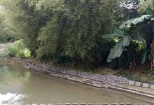 石跳桥景点图片