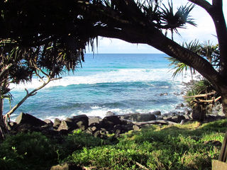 大洋洲旅游:昆士兰州观光纪行(图)