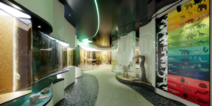 四川安縣生物礁國家地質公園陳列室