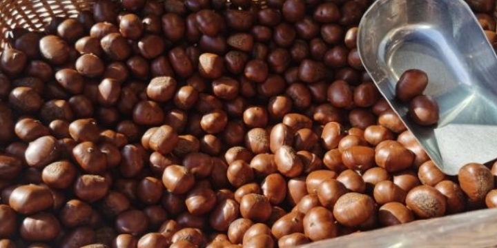 盛文甘栗(维明大街店)