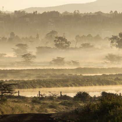 肯尼亚+马赛马拉国家保护区+纳库鲁湖国家公园10日7晚跟团游