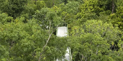 熱帶雨林探索中心