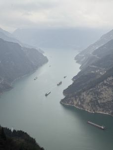 长江-宜昌-岱山香橙