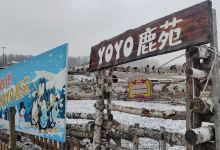 长白山华美胜地度假区-鹿苑景点图片