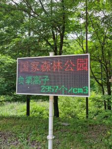 猴石国家森林公园-新宾-翱翔的大鲨鱼