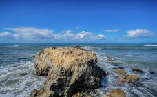 老渔人码头-蒙特雷-小凌60