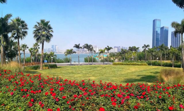 深圳前海湾游玩攻略简介,深圳前海湾门票/地址/图片/开放时间/照片/门票价格【携程攻略】