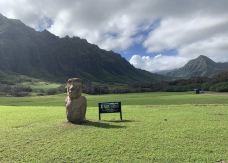 古兰尼牧场-檀香山-小小呆60