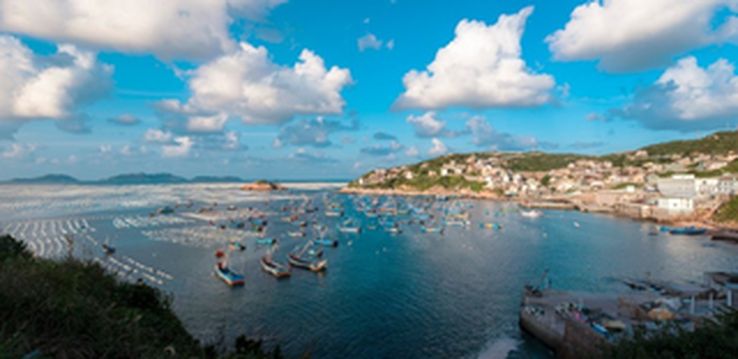 枸杞岛，漂洋过海去看你