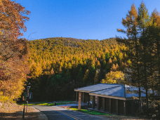 神鹿峰旅游度假区-长春-C-IMAGE