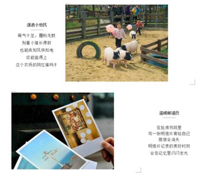 亲子秋游爆款|人均130+，稻田星空、9大田园职业体验，住进温暖秋日