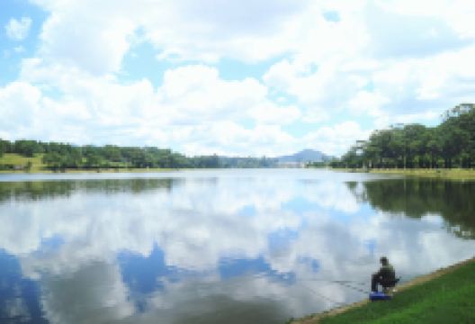 天鹿湖森林公园景点图片